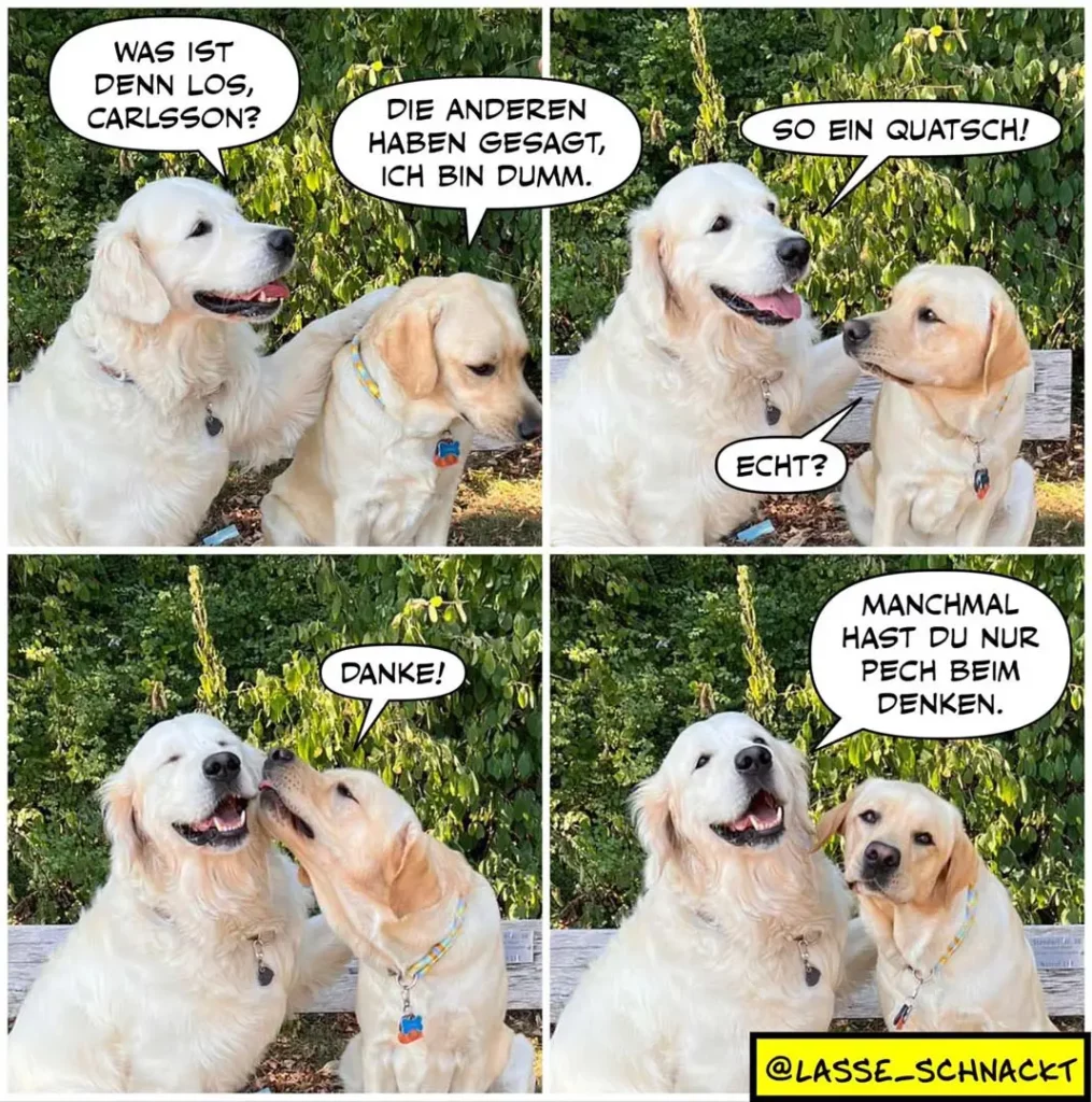 Vier Panel Comic mit zwei hellblonden Labradors: erster Panel zeigt weissen Hund der Carlsson fragt, zweiter Panel antwortet beiger Hund, dritter Panel zeigt Nähe und Danke, vierter Panel warnt vor Pech beim Denken