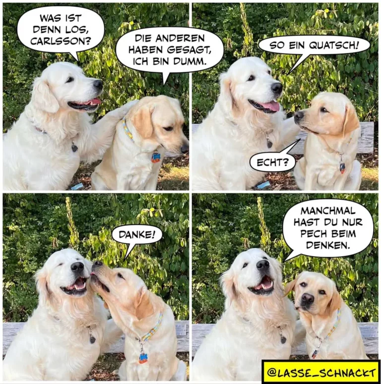 Vier Panel Comic mit zwei hellblonden Labradors: erster Panel zeigt weissen Hund der Carlsson fragt, zweiter Panel antwortet beiger Hund, dritter Panel zeigt Nähe und Danke, vierter Panel warnt vor Pech beim Denken