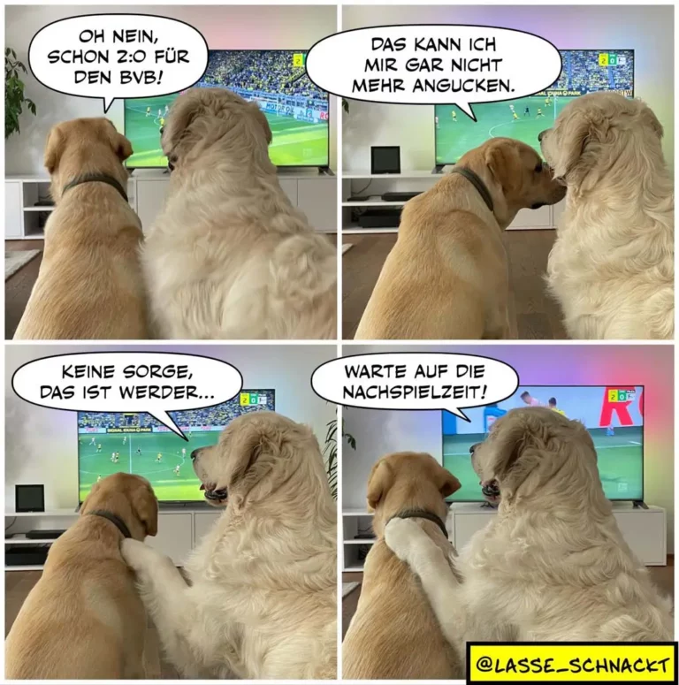 Zwei Hunde sitzen vor dem TV beim Fussballspiel. Der hellere Hund kommentiert aufgeregt die Spielszenen mit Sprechblasen.
