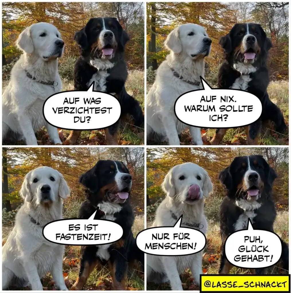 Weisser und schwarzer Labrador im Herbst: Der weisse fragt den schwarzen, worauf er verzichtet. Der schwarze antwortet trocken: «Auf nix. Warum sollte ich?» Im dritten Panel erklärt der weisse: «Es ist Fastenzeit!» Der schwarze kontert: «Nur für Menschen! Puh, Glück gehabt!»