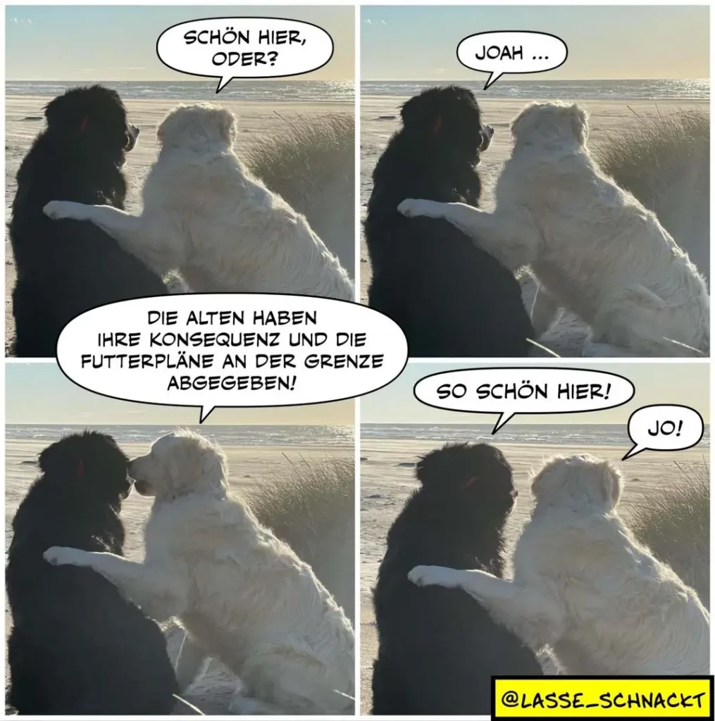 Zwei Hunde am Strand: schwarzer und weisser Hund sitzen nebeneinander mit Blick aufs Meer. Dialog über Futterpläne an der Grenze.