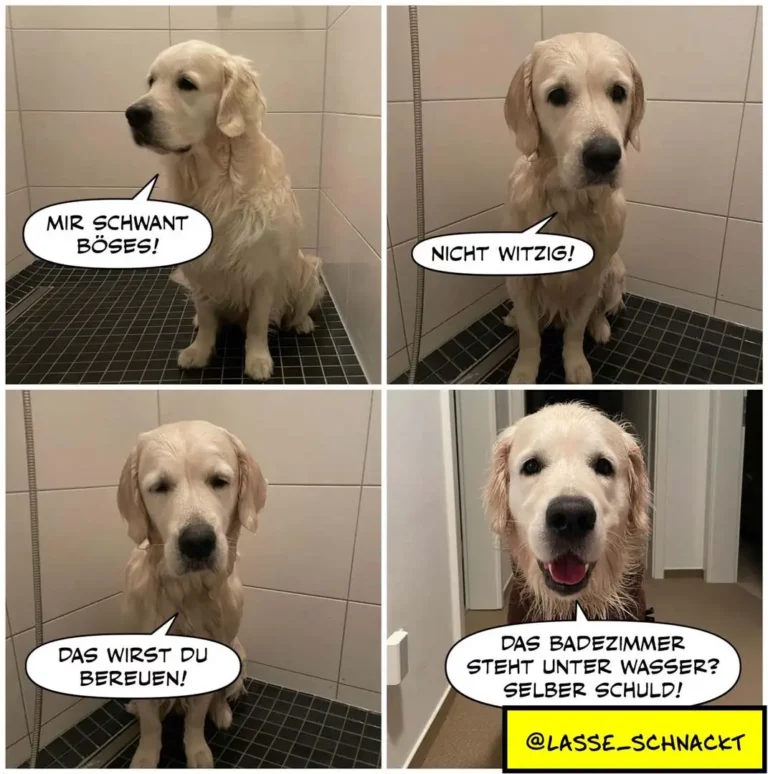 Vier-Panel-Comic mit cremefarbenem Golden Retriever im Badezimmer: Panel 1 sitzt Hund stolz, sagt 'Mir schwant Böses!', Panel 2 blickt skeptisch 'Nicht witzig!', Panel 3 resigniert 'Das wirst du bereuen!', Panel 4 nass und glücklich 'Das Badezimmer steht unter Wasser? Selber schuld!'