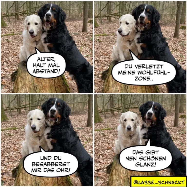 Weisser und schwarzer Hund sitzen nebeneinander vor Baumstumpf im Wald. Vier Panel zeigen einen Dialog zwischen ihnen.