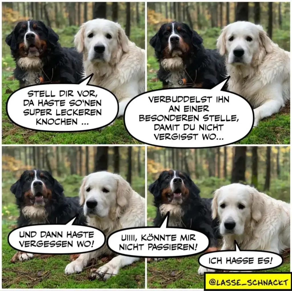 Zwei Hunde im Wald: schwarzer Hund mit weissem Brustfleck links, cremefarbener Labrador rechts. Vier Panels zeigen ihren Dialog über einen versteckten Knochen.