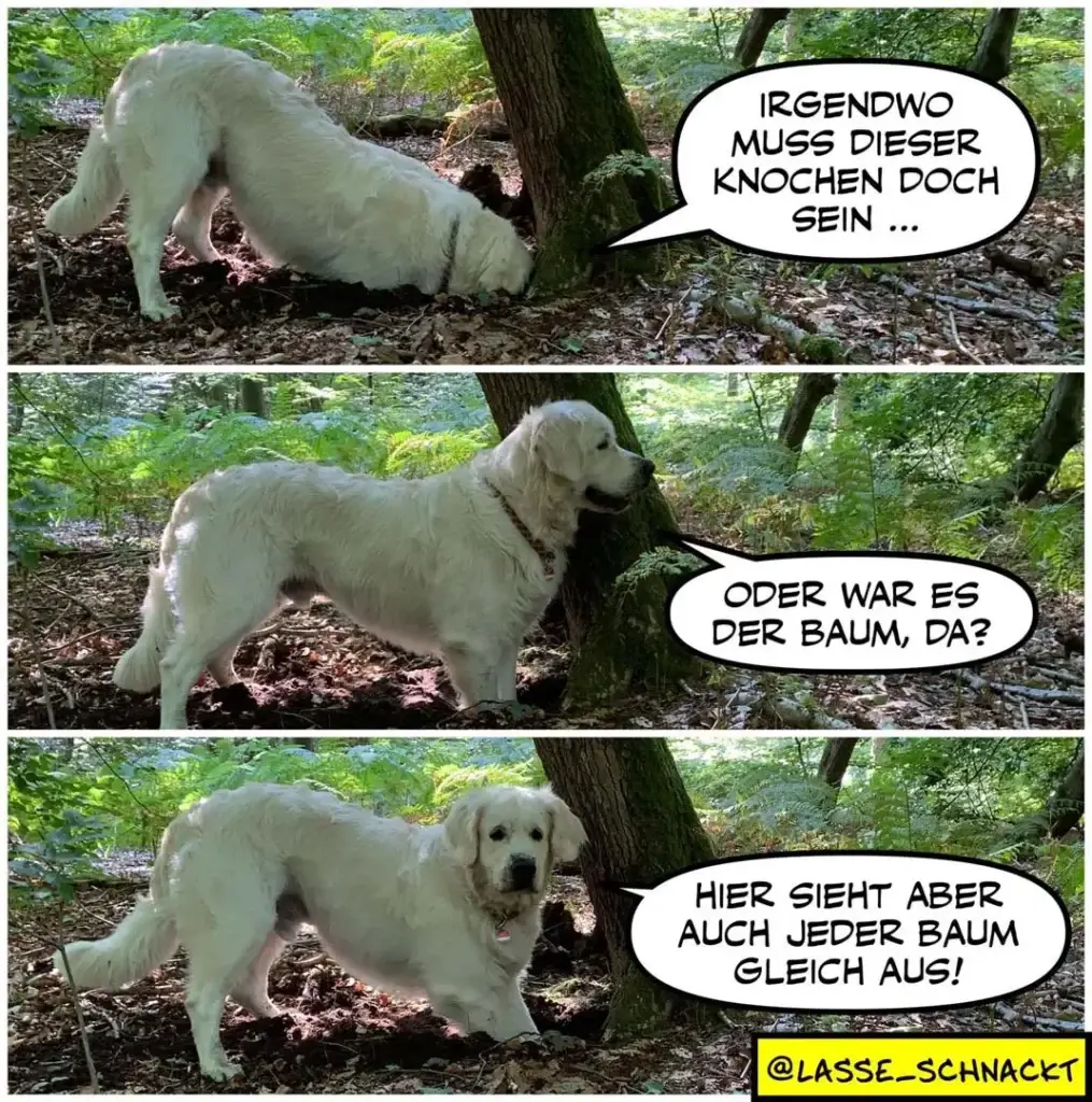 Weisser Hund schnüffelt an Baumwurzeln im Wald, dann steht aufrecht daneben; Sprechblasen zeigen humorvolle Gedanken über Bäume