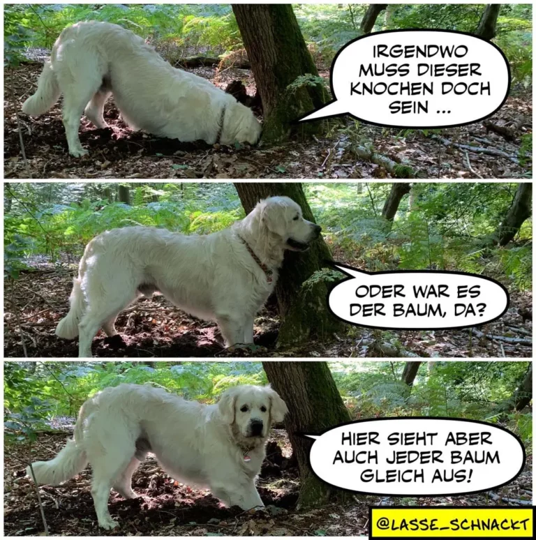 Weisser Hund schnüffelt an Baumwurzeln im Wald, dann steht aufrecht daneben; Sprechblasen zeigen humorvolle Gedanken über Bäume