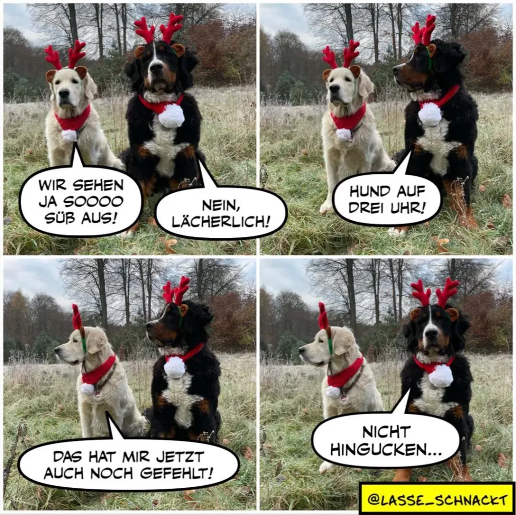 Zwei Hunde mit Rentier-Hörnern in einer vierpanelig-Comic-Szene: weisser und schwarzbrauner Hund unterhalten sich über Weihnachtskostüme