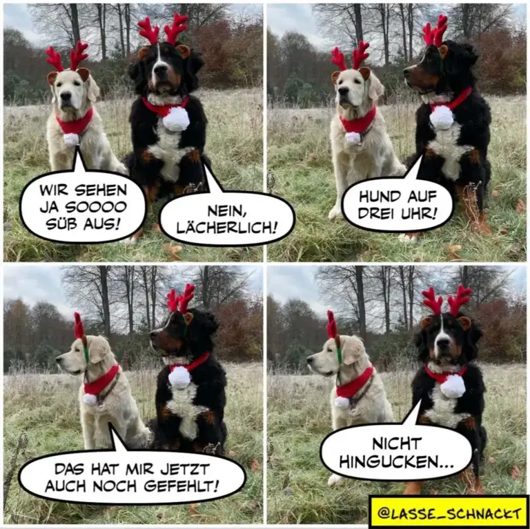 Zwei Hunde mit Rentier-Hörnern in einer vierpanelig-Comic-Szene: weisser und schwarzbrauner Hund unterhalten sich über Weihnachtskostüme