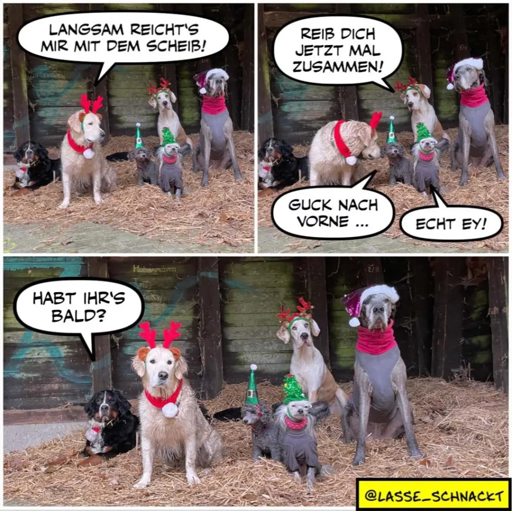 Gruppe von Hunden in Weihnachtsdeko: Ein weisser Hund mit roten Rentiergeweihen sagt zu anderen Hunden, sie sollen zusammen Scheisse fressen. Ein grauer Hund antwortet skeptisch.