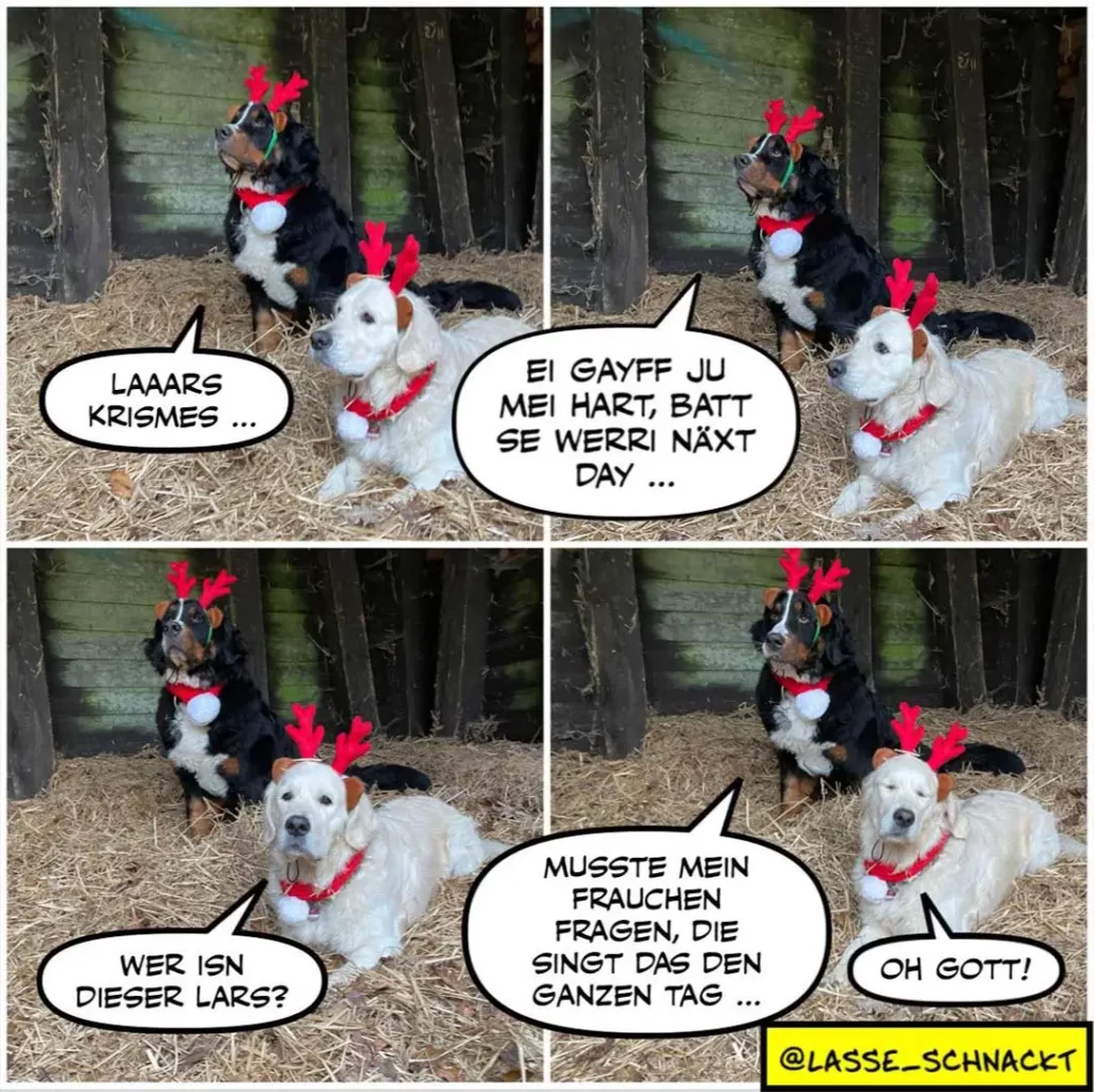 Zwei Hunde mit roten Rentiergeweihen in Stallboxen. Der schwarze Hund oben spricht, der weisse unten antwortet in Schweizerdeutsch.