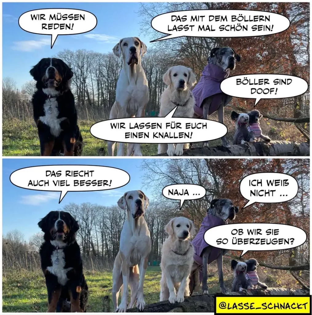 Vier Hunde sitzen zusammen, einer sagt 'Wir müssen reden', ein anderer antwortet 'Böller sind doof', ein kleiner Hund sitzt abseits