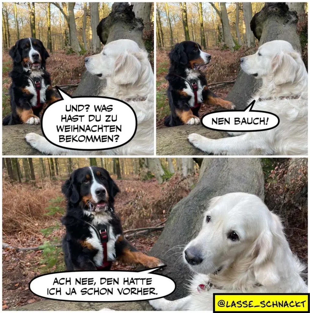 Schwarzer und weisser Hund im Wald: schwarzer Hund fragt weissen Hund «Und? Was hast du zu Weihnachten bekommen?», weisser Hund antwortet «Nen Bauch!», schwarzer Hund reagiert enttäuscht «Ach nee, den hatte ich ja schon vorher.»