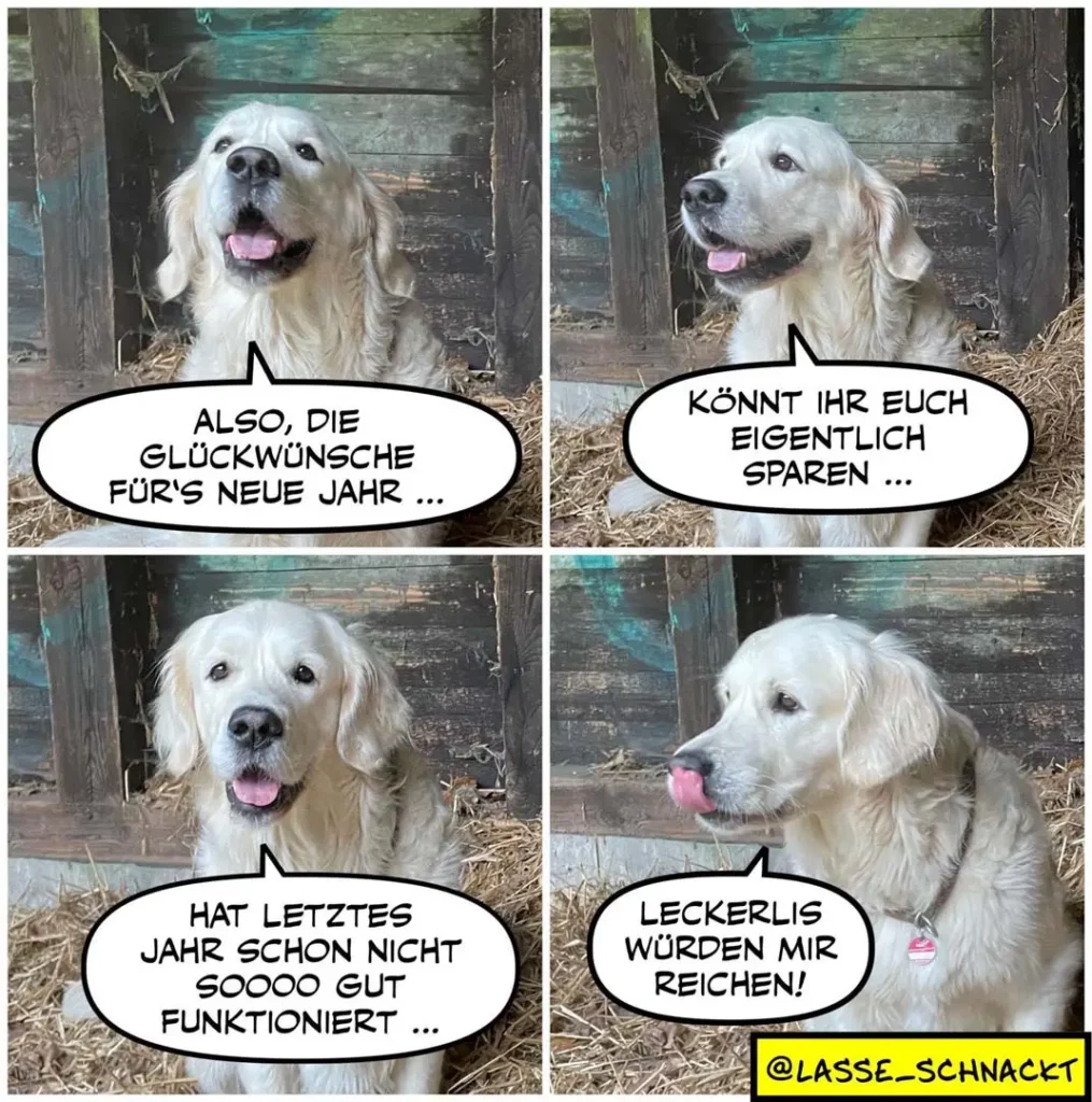 Weisser Hund in vierteiliger Comic-Serie: spricht von Glückswünschen fürs neue Jahr, dann dass man sparen könnte, beschwert sich über schlechte Zahnfunktion und wünscht sich Leckerlis