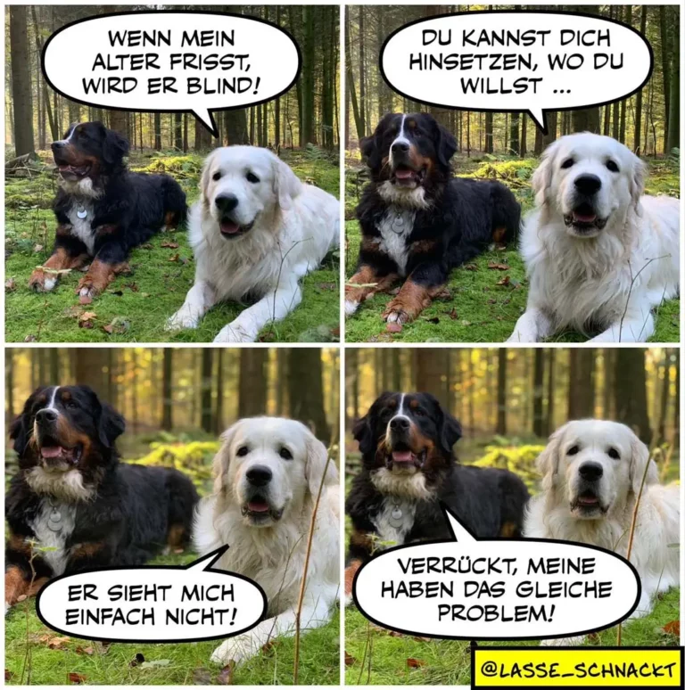 Zwei Hunde im Wald: schwarzer Hund sagt zum weissen Hund, dass er blind wird wenn sein alter Freund frisst. Weisser Hund antwortet, er könne sich hinsetzen wo er will. Im dritten Panel sieht der schwarze Hund den weissen nicht und beschwert sich. Im vierten Panel antwortet der weisse Hund, dass er das gleiche Problem hat.