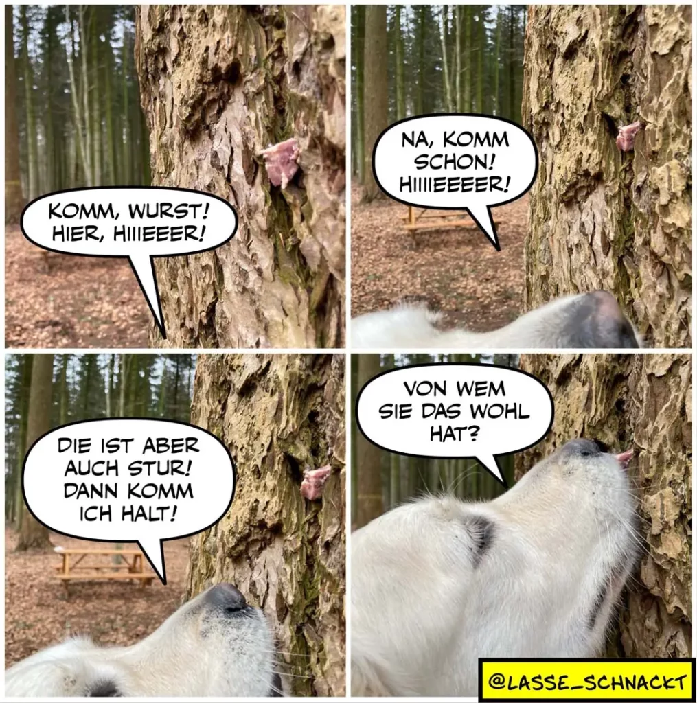Weisser Hund versucht, eine Wurst an einem Baum zu erreichen, die zu hoch oben sitzt. Vierpaneliger Comic mit Dialogblasen.