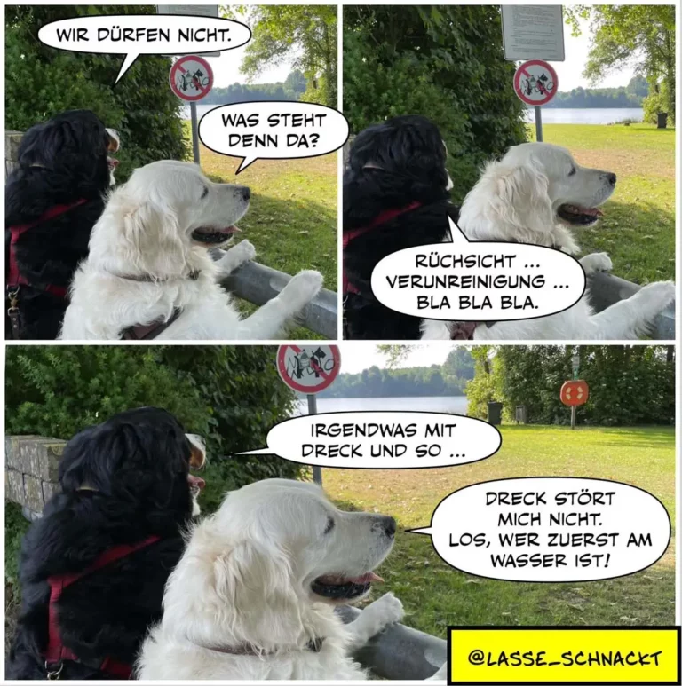 Schwarzer und weisser Hund sitzen an einem See-Ufer unter einem Verbotschild. Der schwarze Hund sagt «Wir dürfen nicht», der weisse antwortet mit «Rücksicht Verunreinigung bla bla bla» und später «Dreck stört mich nicht. Los, wer zuerst am Wasser ist!»