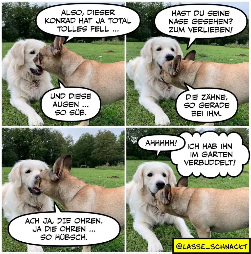 Weisser Hund und beiger Esel im Dialog auf einer Wiese: Der Esel bewundert Konrads Fell und fragt nach seiner Nase, worauf der Hund seine Zähne zeigt – der Esel antwortet erleichtert, er habe ihn im Garten verbuddelt.