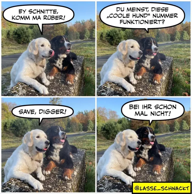 Weisser und schwarzer Labrador sitzen auf Baumstamm. Weisser spricht: «Ey Schnitte, komm ma rüber!» Schwarzer antwortet: «Du meinst, diese coole Hund Nummer funktioniert?» Weisser: «Save, digger!» Schwarzer: «Bei ihr schon mal nicht!»