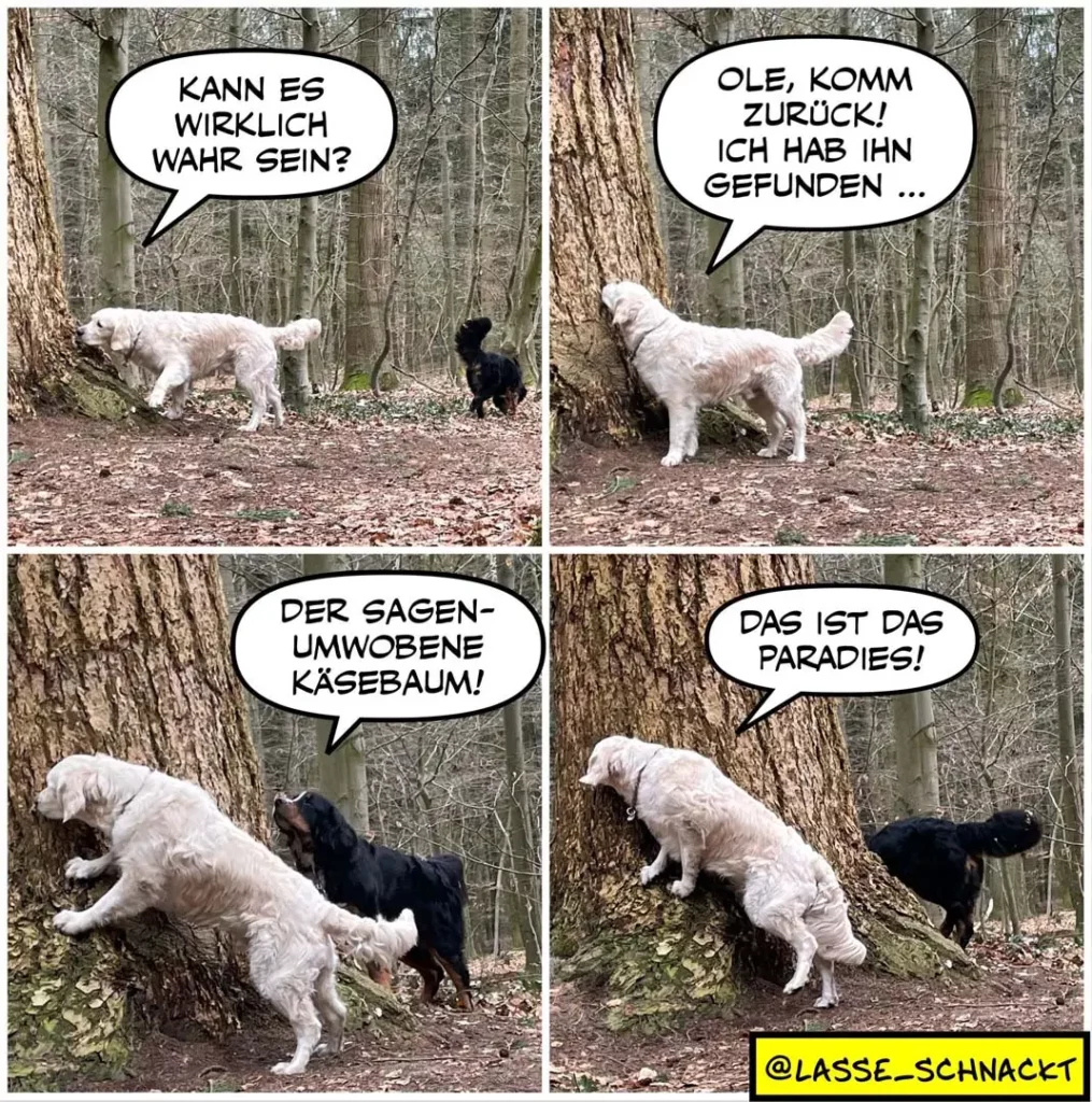 Weisser Hund und schwarzer Hund im Wald: weisser Hund fragt, ob es wahr sein kann; schwarzer Hund antwortet, er habe ihn gefunden; weisser Hund zeigt auf einen Baum und sagt, das ist das Paradies