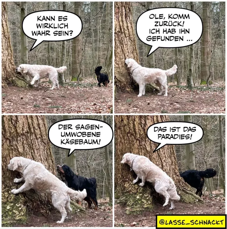 Weisser Hund und schwarzer Hund im Wald: weisser Hund fragt, ob es wahr sein kann; schwarzer Hund antwortet, er habe ihn gefunden; weisser Hund zeigt auf einen Baum und sagt, das ist das Paradies