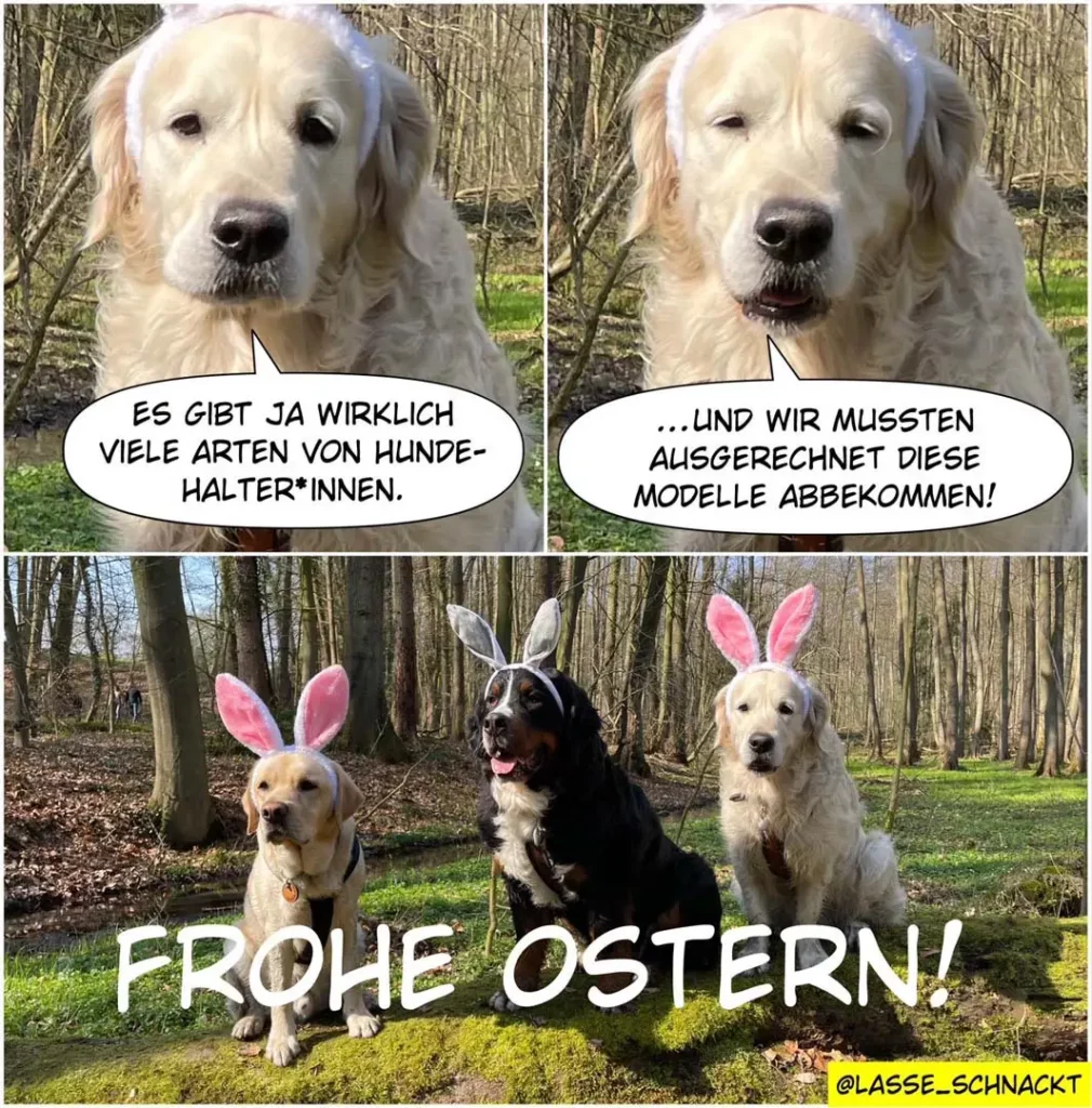 Weisser Golden Retriever spricht von verschiedenen Hundehalter-Typen. Darunter drei Hunde mit Osterhasen-Ohren im Wald mit Text 'Frohe Ostern'