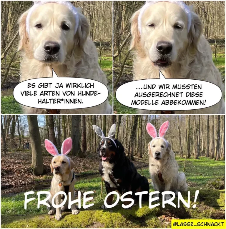 Weisser Golden Retriever spricht von verschiedenen Hundehalter-Typen. Darunter drei Hunde mit Osterhasen-Ohren im Wald mit Text 'Frohe Ostern'