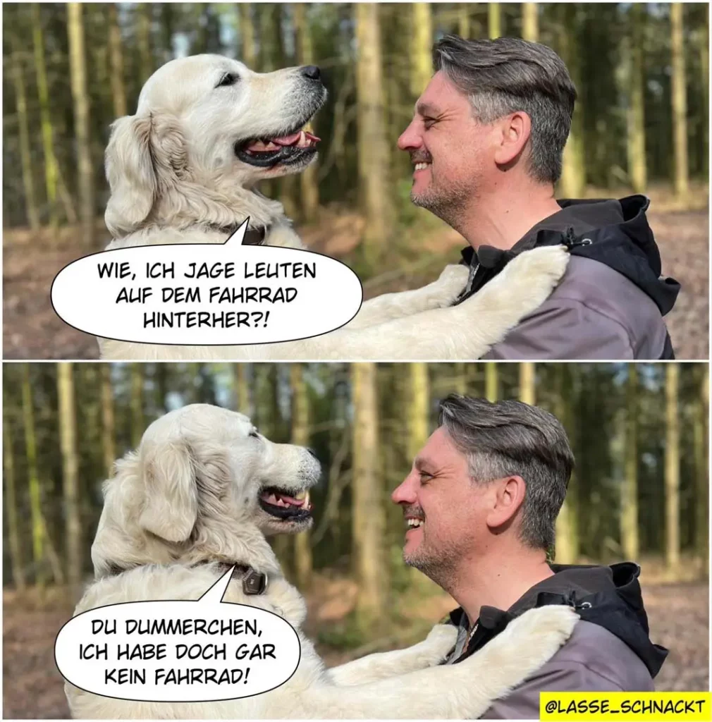 Weisser Hund und Mann im Wald, zwei Sprechblasen: Hund fragt 'Wie, ich jage leuten auf dem Fahrrad hinterher?!' Mann antwortet 'Du Dummerchen, ich habe doch gar kein Fahrrad!'