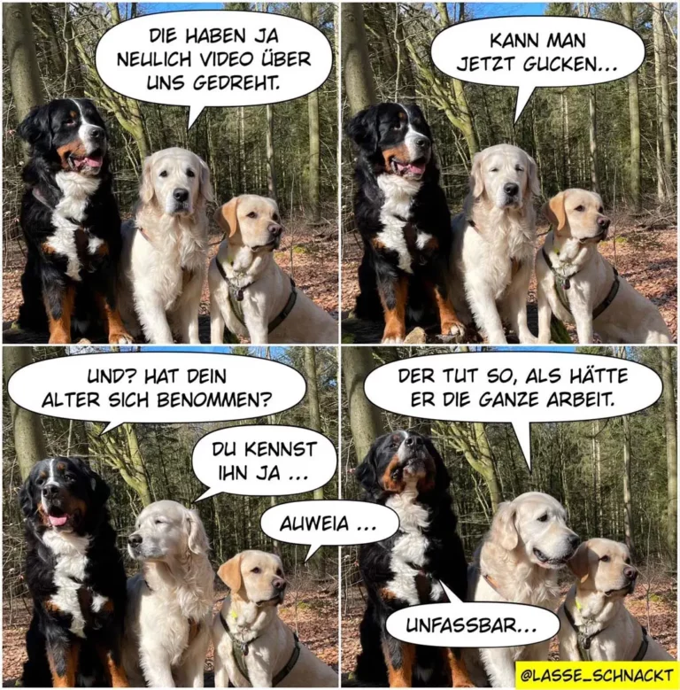 Drei Hunde im Wald: schwarzer Hund erzählt zwei helleren Hunden eine Geschichte in vier Panels, die anderen Hunde reagieren zunehmend ungläubig