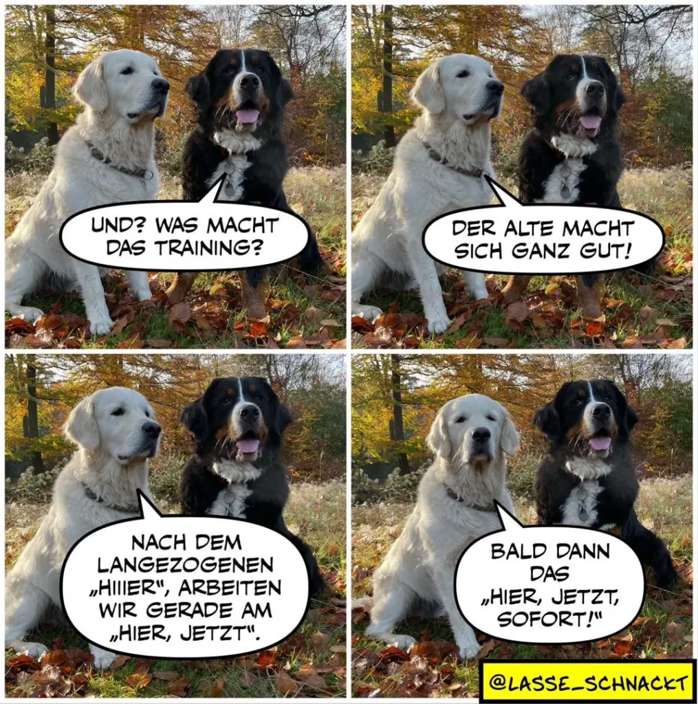 Lasse schnackt 422