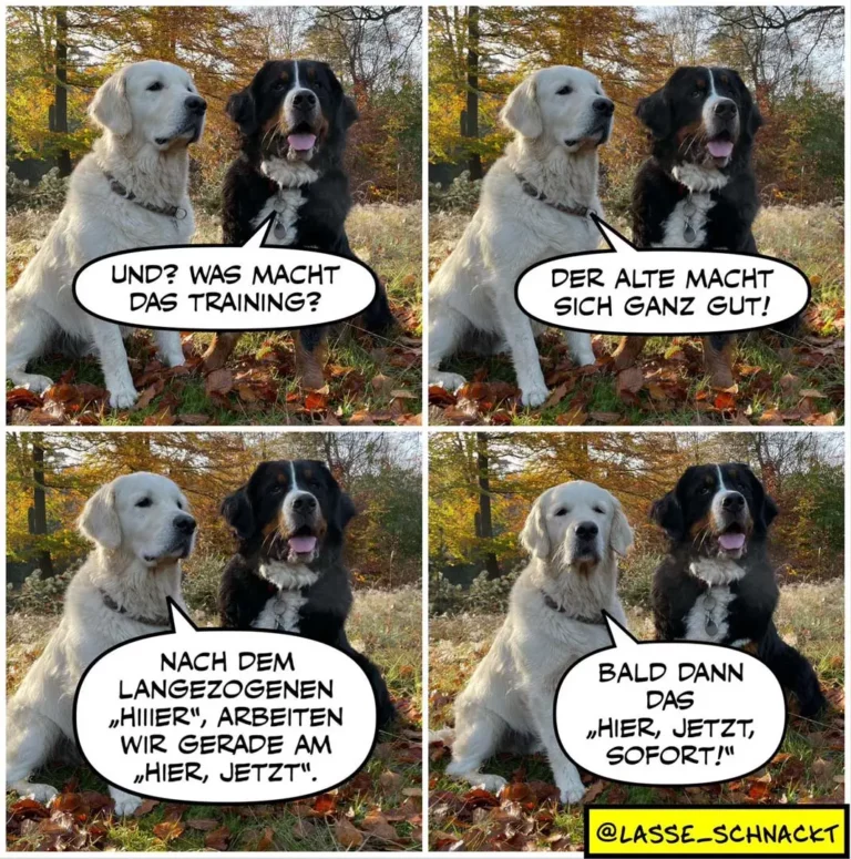 Lasse schnackt 422
