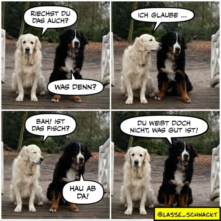 Weisser und schwarzer Hund sitzen nebeneinander. Weisser Hund fragt: Riechst du das auch? Schwarzer Hund antwortet: Ich glaube... Was denn? Weisser Hund: Bah! Ist das Fisch? Schwarzer Hund: Hau ab da! Weisser Hund: Du weibt doch nicht, was gut ist!
