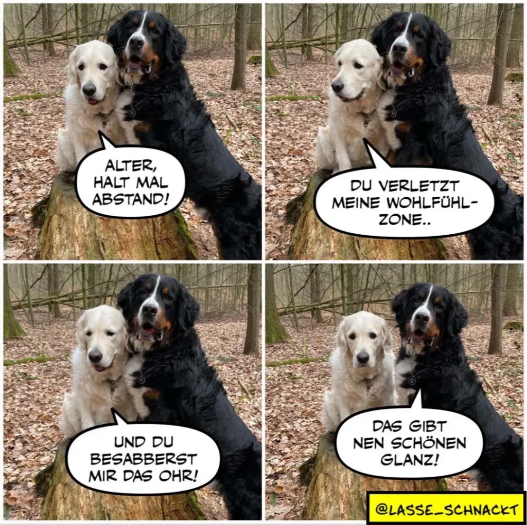 Weisser und schwarzer Hund sitzen nebeneinander im Wald. Der schwarze Hund umarmt den weissen von hinten in vier Bildern mit unterschiedlichen Dialogen.
