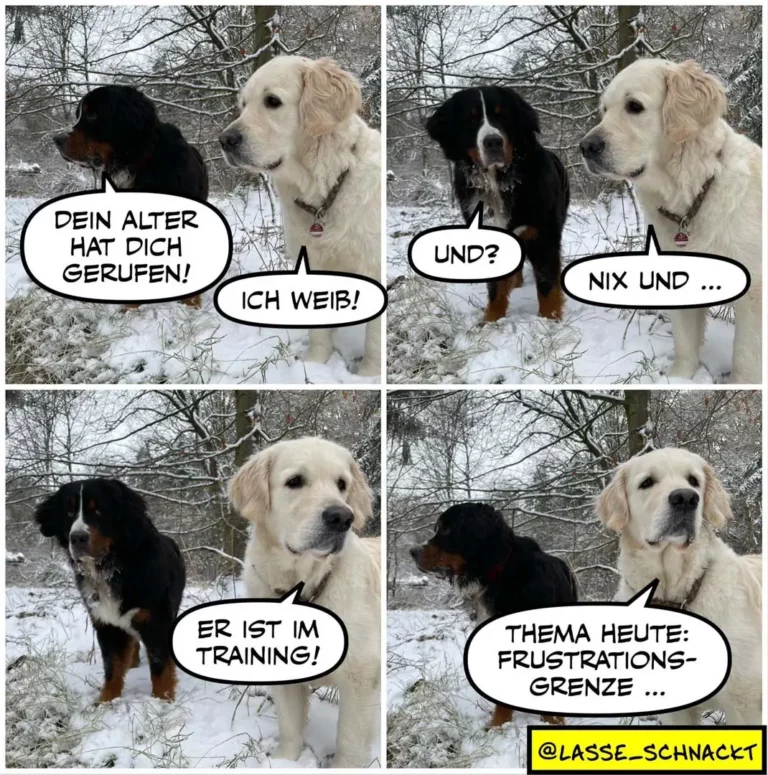 Zwei Hunde im Schnee: schwarzer Hund sagt dem weissen Hund, dieser habe ihn zum Beruf berufen, weisser Hund antwortet skeptisch