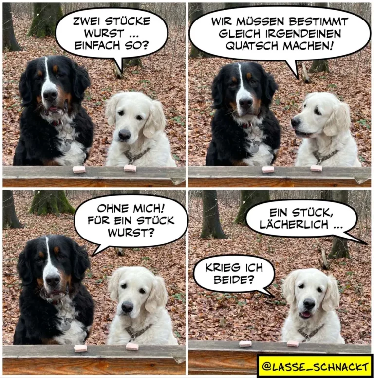 Schwarzer und weisser Hund an Zaun, schwarzer Hund schlägt Wurst vor, weisser lehnt ab, dann Streit um eine Wurst