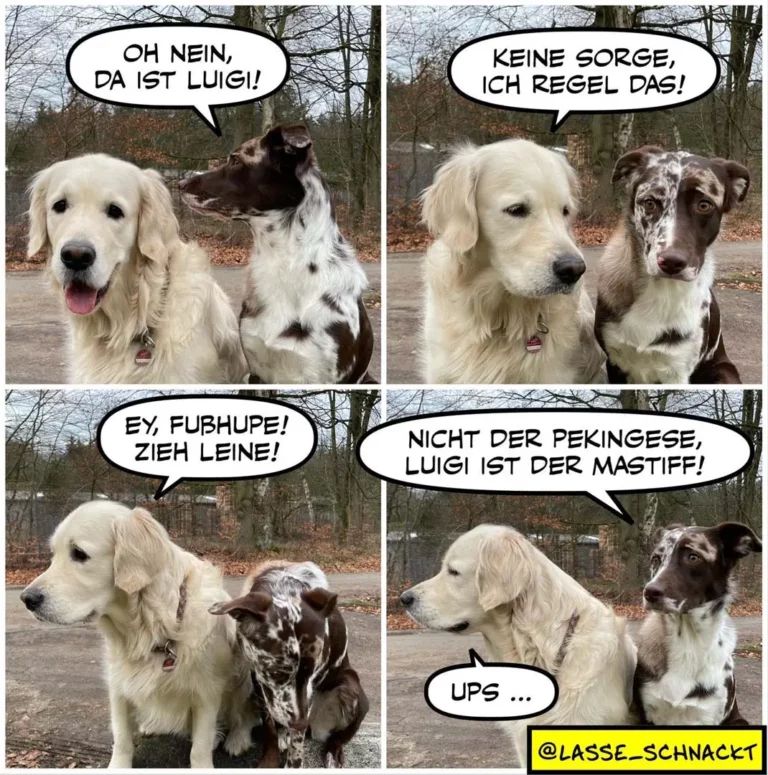 Vier-Panel-Comic: Weisser Hund sagt zu braunem Hund «Oh nein, da ist Luigi!», brauner Hund antwortet «Keine Sorge, ich regel das!», dann rennt der braune Hund weg, weisser Hund sagt zu schwarzem Mastiff «Ey, Fusshupe! Zieh Leine!», schwarzer Mastiff sagt «Nicht der Pekingese, Luigi ist der Mastiff!» und weisser Hund antwortet «Ups ...»