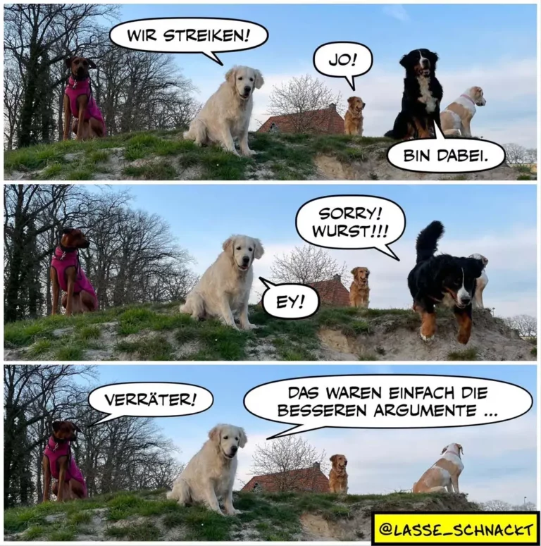 Mehrere Hunde auf einem Hügel: Eine ruft zum Streik auf, die anderen diskutieren, bis einer mit «besseren Argumenten» überzeugt.