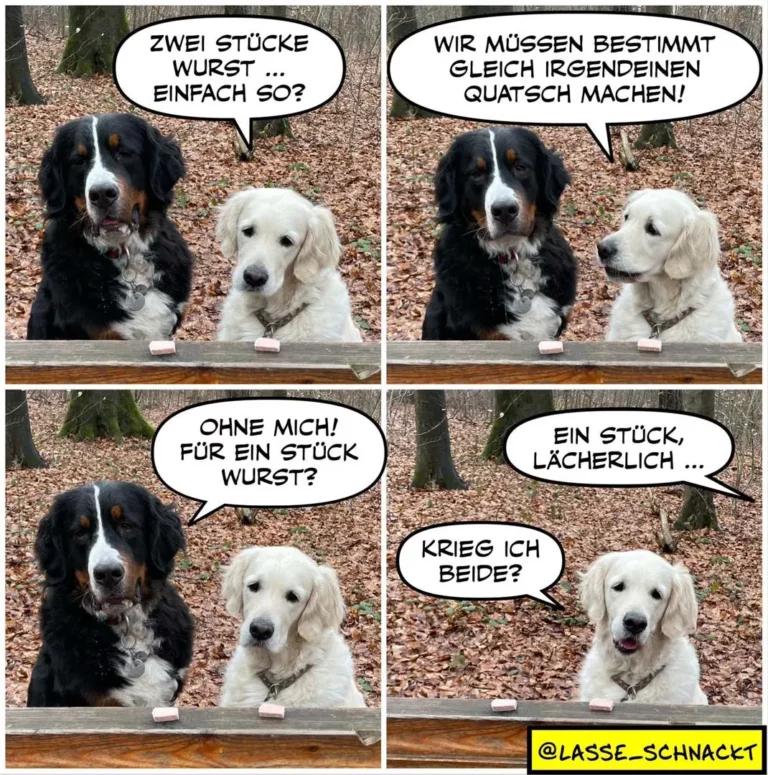 Zwei Hunde an Tisch: schwarzer Hund schlägt vor, Wurst zu teilen, weisser Hund stimmt zu, dann fordert er sein Stück ein