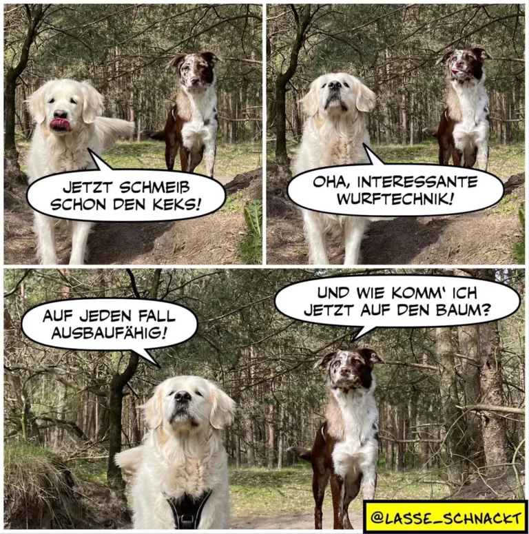 Zwei Hunde im Wald: weisser Hund leckt sich die Schnauze und sagt 'Jetzt schneib schon den Keks!', brauner Hund antwortet 'Oha, interessante Wurftechnik!', weisser Hund: 'Auf jedem Fall ausbaufähig!'