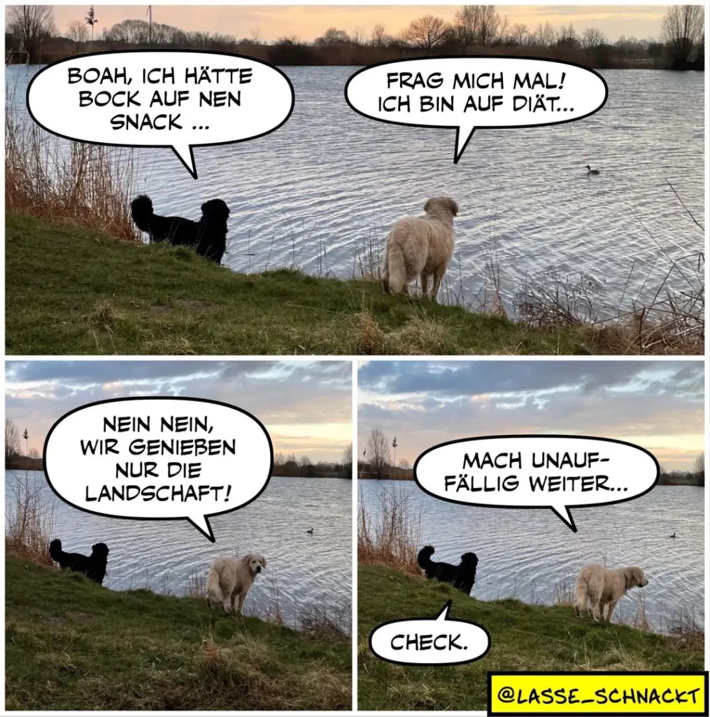 Zwei Hunde am Seeufer: schwarzer Hund möchte Snack, beiger Hund auf Diät; schwarzer Hund sagt, sie geniessen nur die Landschaft