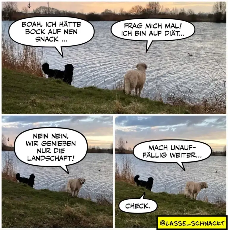 Zwei Hunde am Seeufer: schwarzer Hund möchte Snack, beiger Hund auf Diät; schwarzer Hund sagt, sie geniessen nur die Landschaft