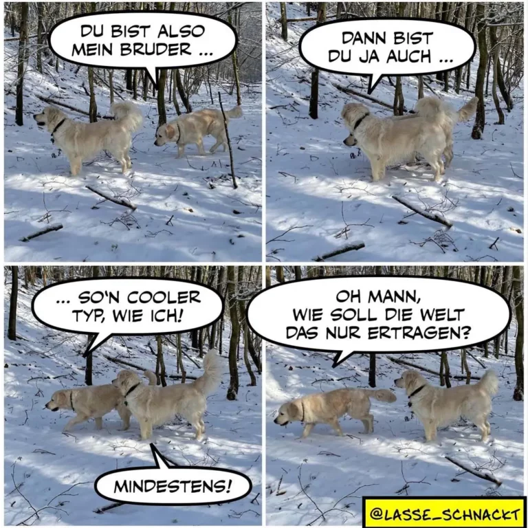 Zwei hellbraune Hunde im Schnee im Wald: Einer sagt zum anderen «Du bist also mein Bruder», der andere antwortet «Dann bist du ja auch» – am Ende fragt einer ratlos «Wie soll die Welt das nur ertragen?»
