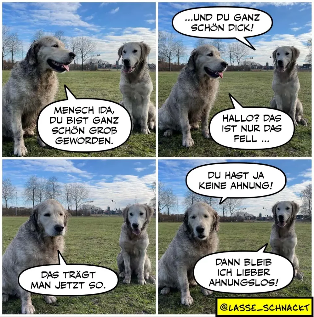 Zwei weisse Hunde unterhalten sich auf einer Wiese. Linker Hund lobt den rechten, rechter Hund erklärt, dass es nur das Fell ist und möchte lieber ohne Leine sein.