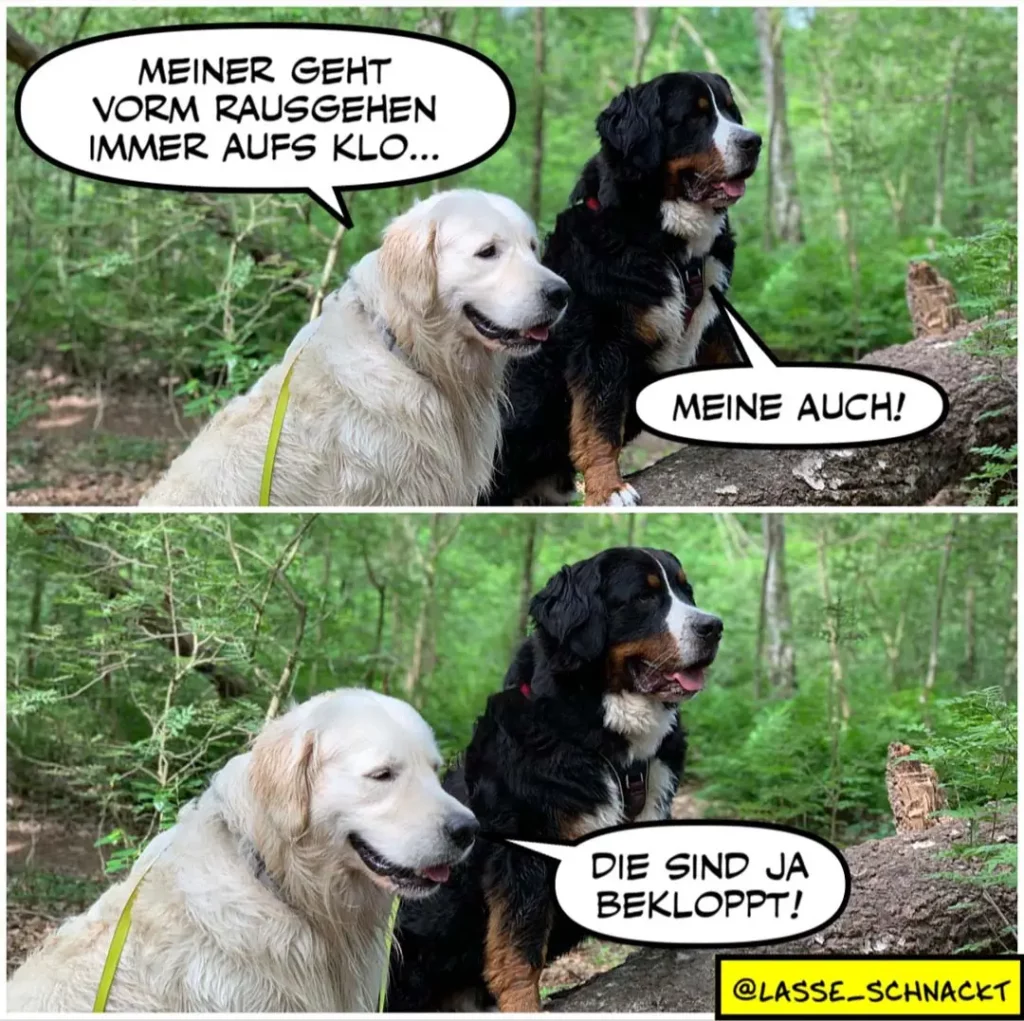 Weisser Hund zu schwarzem Hund: «Meiner geht vorm Rausgehen immer aufs Klo». Schwarzer Hund antwortet: «Meine auch! Die sind ja bekloppt!»