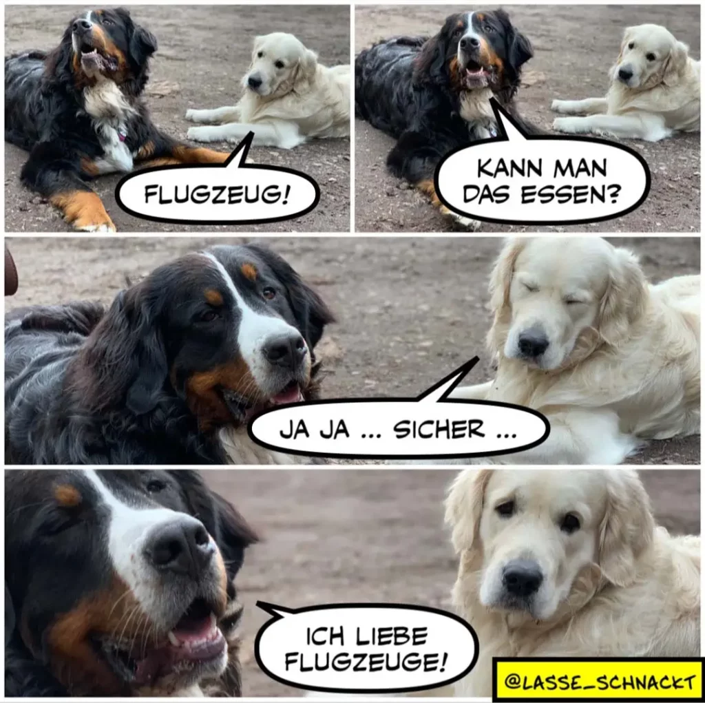 Zwei Hunde liegen nebeneinander: schwarzer Hund sagt «Flugzeug!», weisser Hund fragt «Kann man das essen?», schwarzer Hund antwortet «Ja ja... sicher...», dann «Ich liebe Flugzeuge!»