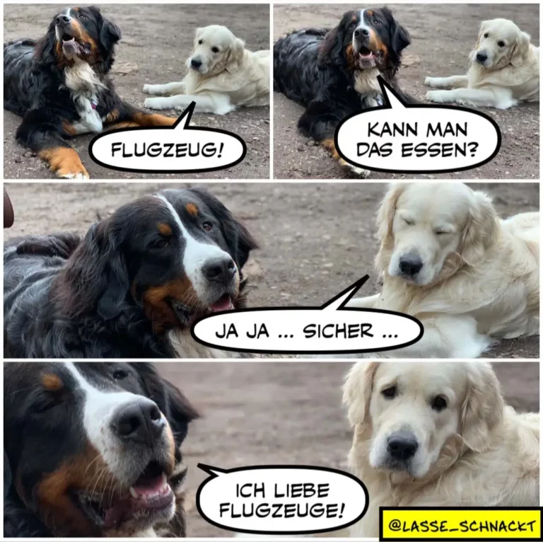 Zwei Hunde liegen nebeneinander: schwarzer Hund sagt «Flugzeug!», weisser Hund fragt «Kann man das essen?», schwarzer Hund antwortet «Ja ja... sicher...», dann «Ich liebe Flugzeuge!»