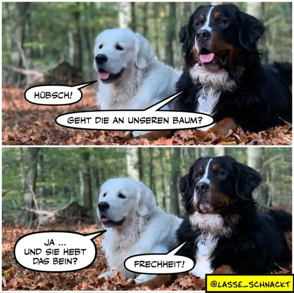 Weisser Hund fragt schwarzen Hund im Wald, ob dieser an seinem Baum pinkelt. Schwarzer Hund antwortet frech mit «Freiheit!»