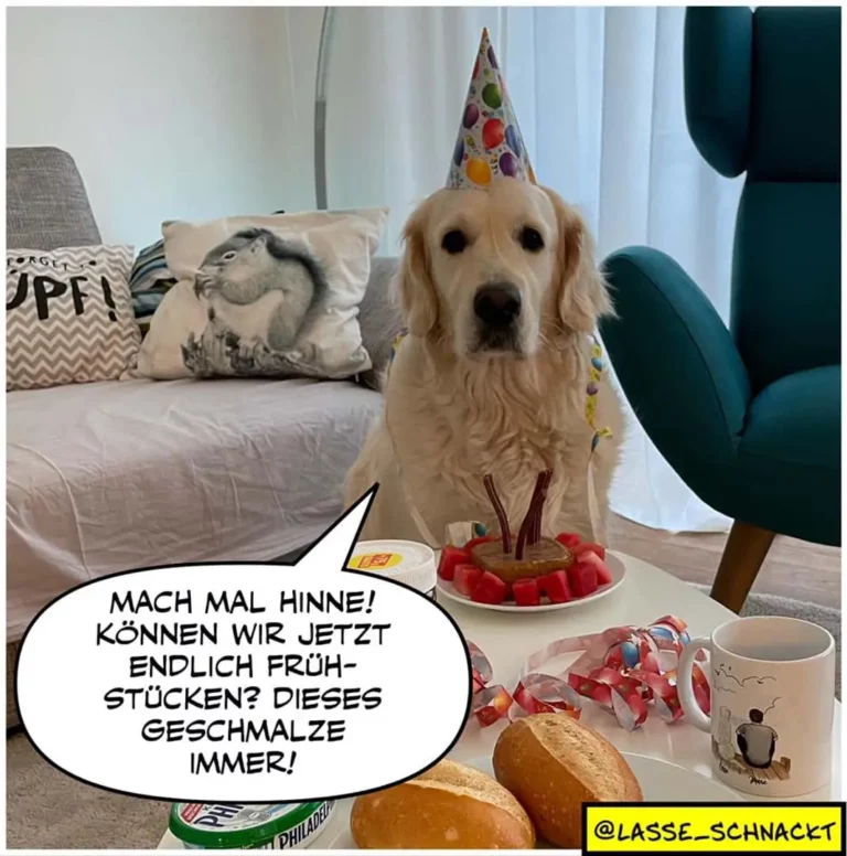 Heller Labrador mit Partyhut sitzt am Tisch vor Geburtstagskuchen mit Kerzen, spricht im Gedankenblasen-Text