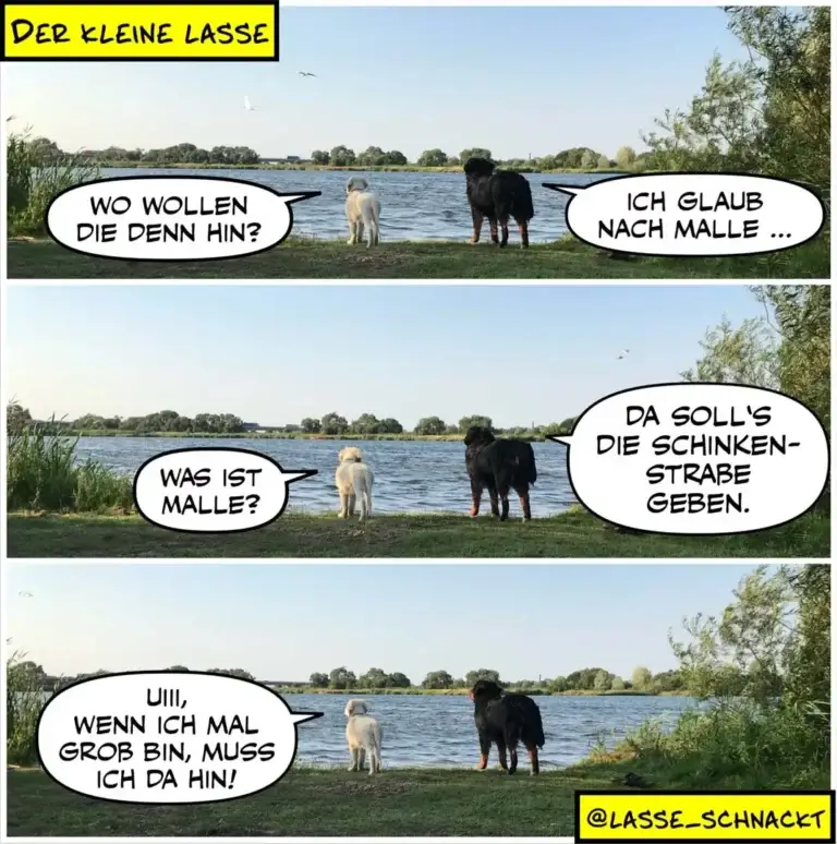 Zwei Hunde am Seeufer: weisser Hund fragt schwarzen Hund, wo dieser hin wolle. Schwarzer Hund antwortet, er glaube nach Malle. Im dritten Panel erklärt der weisse Hund, was Malle ist, und der schwarze Hund meint, da solle es die Schinkenstrasse geben.