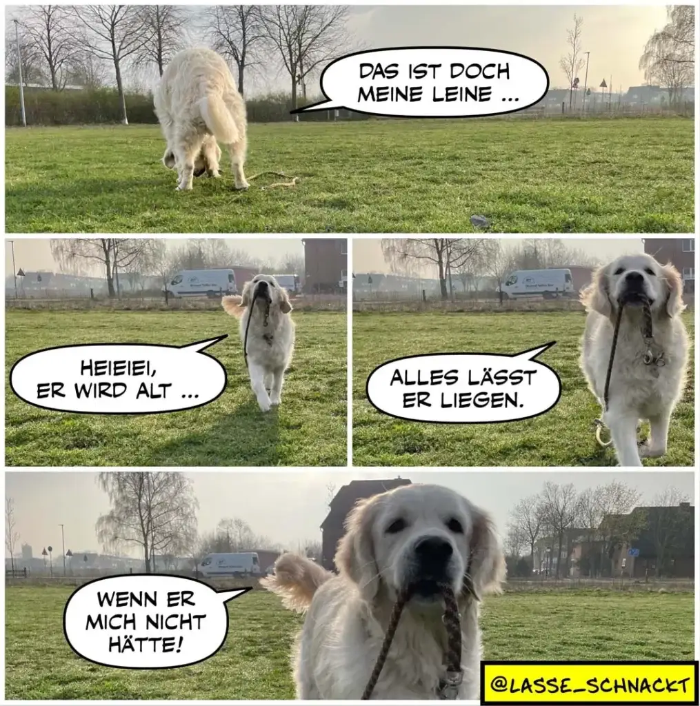 Weisser Hund auf Wiese findet Stöckchen, spricht mit sich selbst: «Das ist doch meine Leine», «Heiiei, er wird alt», «Alles lässt er liegen», «Wenn er mich nicht hätte»