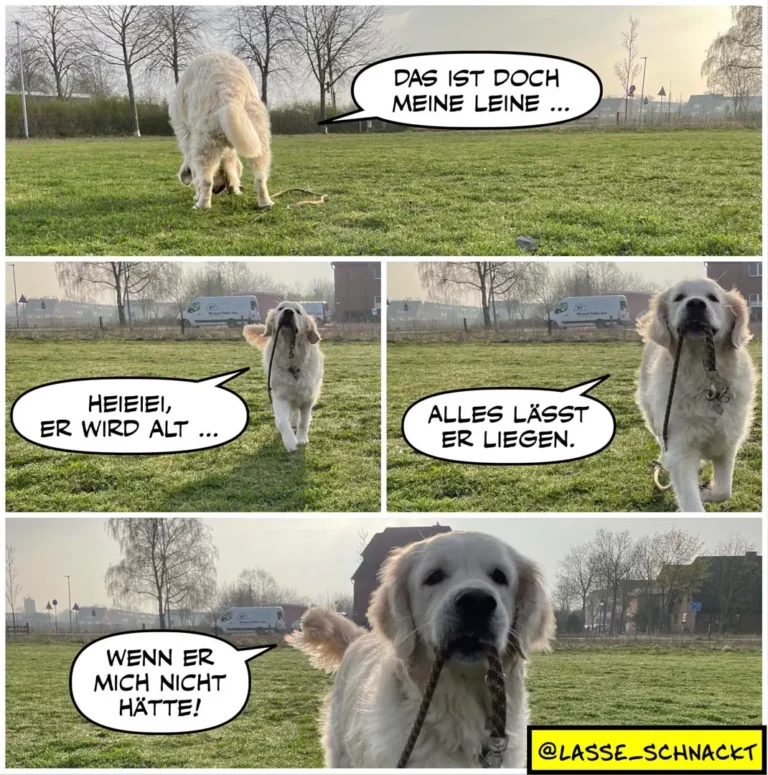 Weisser Hund auf Wiese findet Stöckchen, spricht mit sich selbst: «Das ist doch meine Leine», «Heiiei, er wird alt», «Alles lässt er liegen», «Wenn er mich nicht hätte»